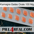 Kamagra Gelée Orale 100 Mg 26